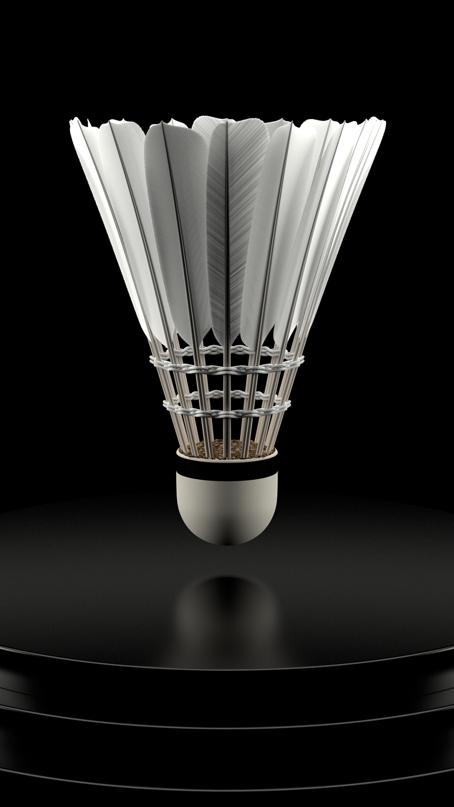 导致比赛结 导致比赛结