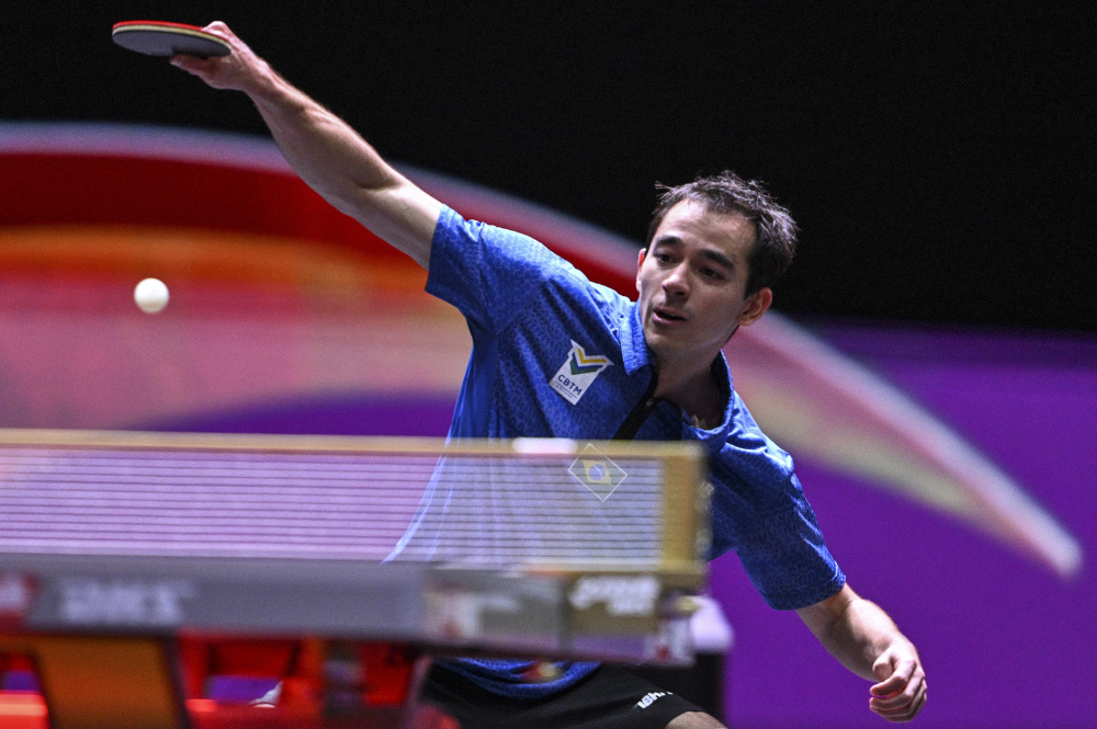 也是他们继 也是他们继