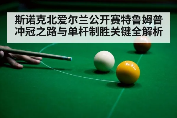 斯诺克北爱尔兰公开赛特鲁姆普冲冠之路与单杆制胜关键全解析